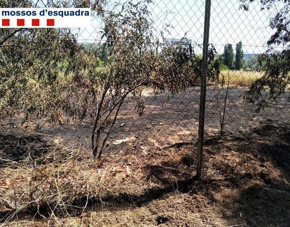 Imagen noticia