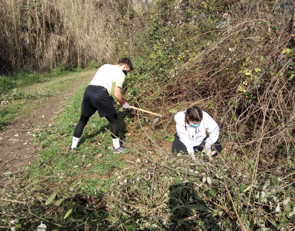 voluntariat ambiental