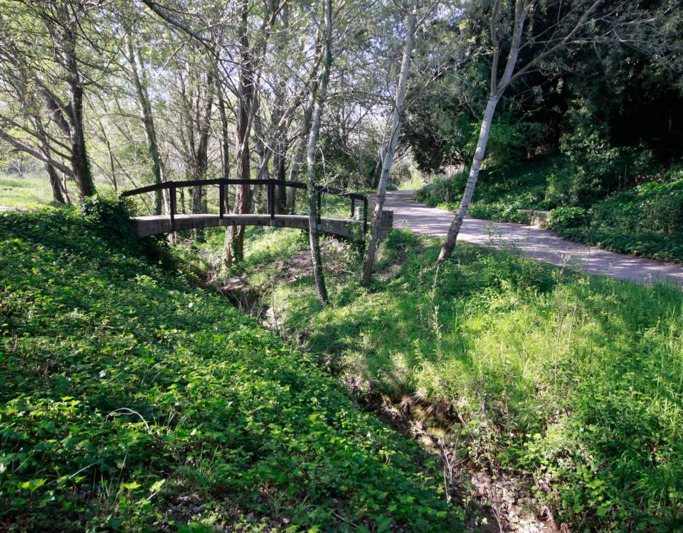 torrent dels alous. mariona lópez