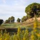 camp de golf generalitat