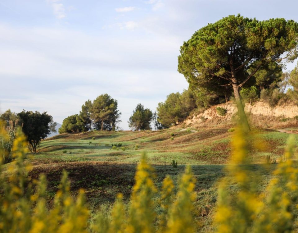 camp de golf generalitat