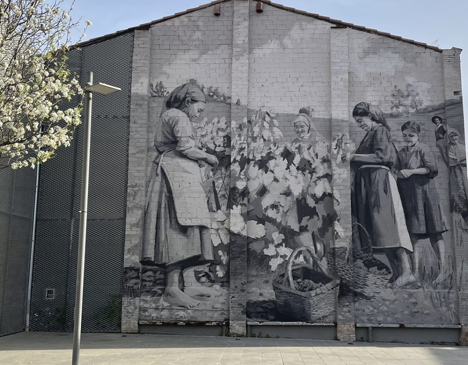 celler grafit