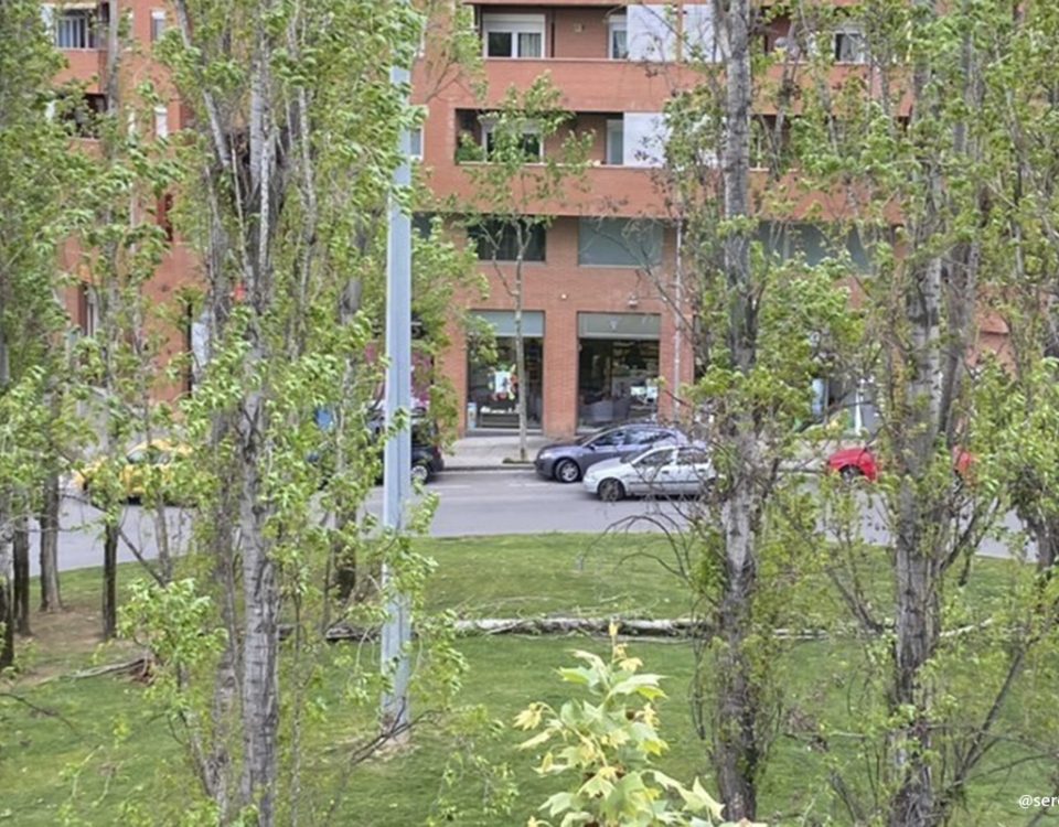 sant jordi parc