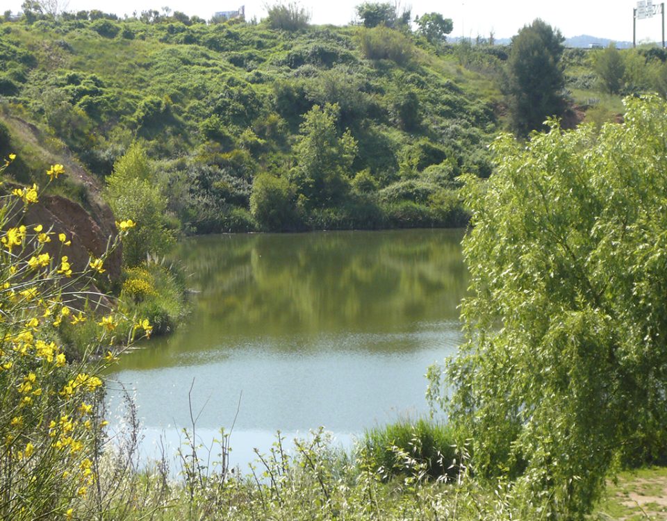estany dels alous