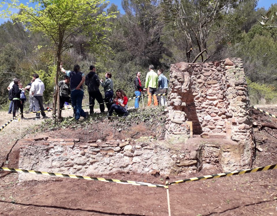 voluntariat ambiental copia