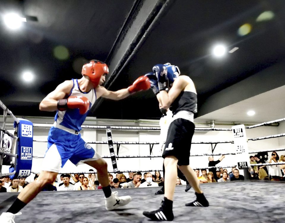 boxa