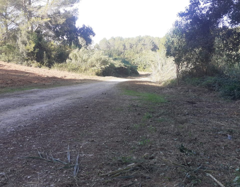 ADF Camí de Can Feliu a Ullastrell