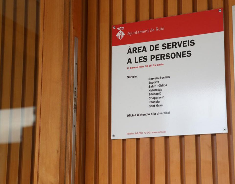 serveis socials