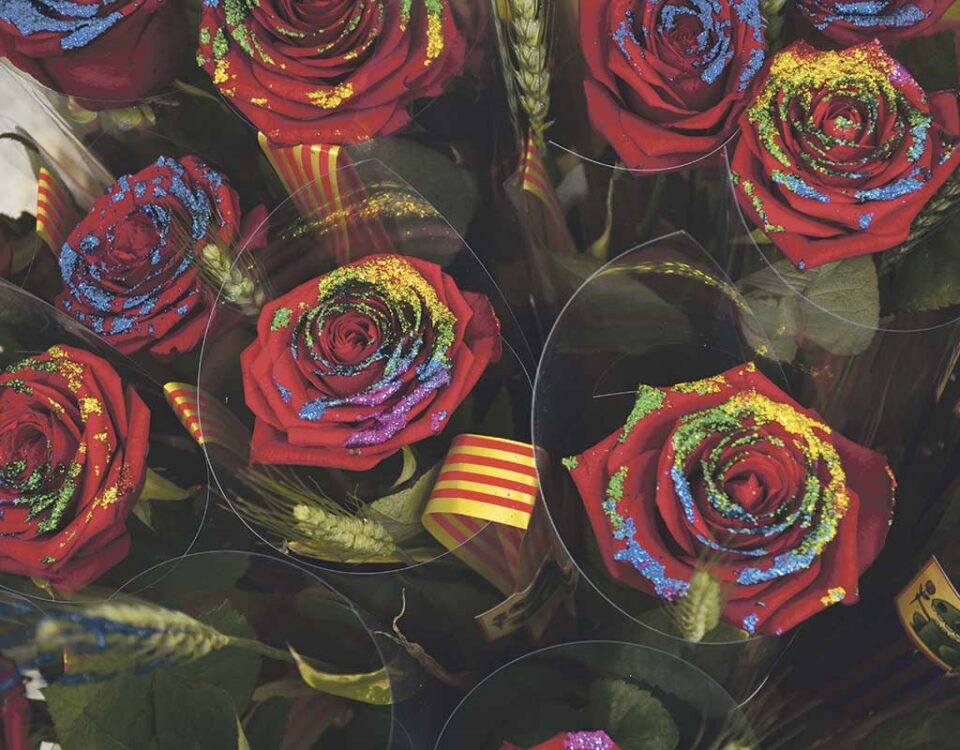 roses sant jordi